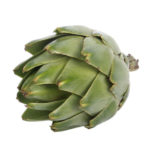 26. Cynara scolumus {artichoke} (freeimages.com)